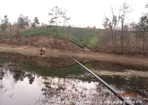 草窝里怎样钓大鱼-怎样才能钓到大鱼