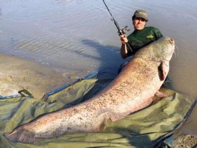 四海钓鱼频道直播|四海钓鱼节目表