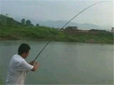 四海钓鱼频道直播|四海钓鱼节目表