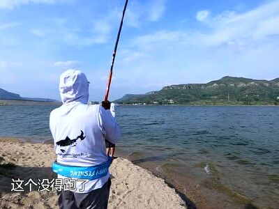 钓鱼视频大全高清2017